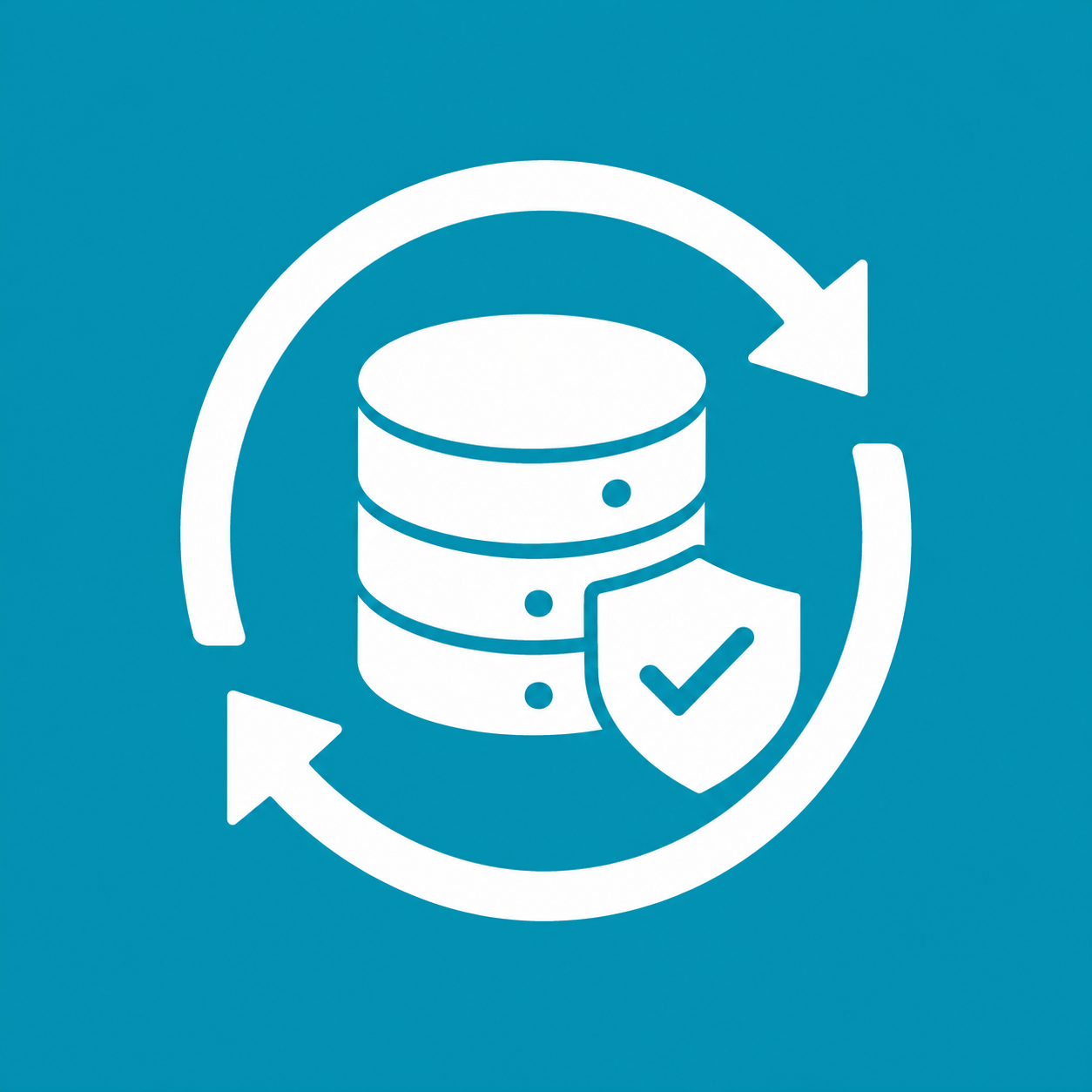 Data Backup Icon in White on 0097b2 Background